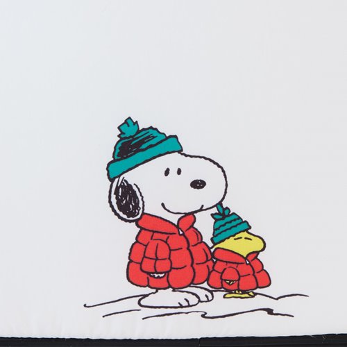 Snoopy in a red coat and blue hat holding on a white background.
